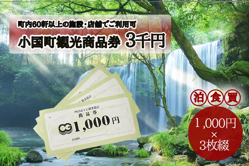 【ASOおぐに観光協会】阿蘇 小国町 観光商品券 1000円×3枚 3千円 三千円 現地引き取り 杖立温泉 わいた温泉郷 湯けむり 蒸し湯 ジャージー牛乳 小国杉 旅行 観光 宿泊 飲食 お買い物 お土産 商品券 宿泊券 1000円券 3枚 現地払い利用 地域振興 旅行支援