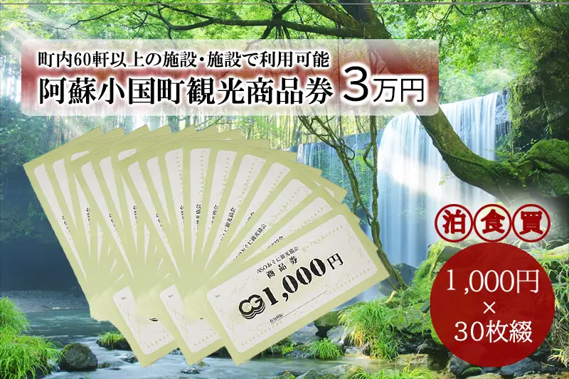 【ASOおぐに観光協会】阿蘇 小国町 観光商品券 1000円×30枚 3万円 三万円 現地引き取り 杖立温泉 わいた温泉郷 湯けむり 蒸し湯 ジャージー牛乳 小国杉 旅行 観光 宿泊 飲食 お買い物 お土産 商品券 宿泊券 1000円券 30枚 現地払い利用 地域振興 旅行支援