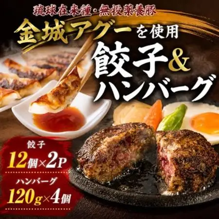 【琉球在来種・無投薬養豚】金城アグーを使用!餃子12個×2P＆ハンバーグ120g×4個【配送不可地域：離島】【1731173】