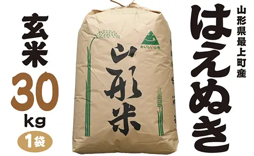 令和7年産　山形県最上町産 はえぬき 玄米30kg 1袋