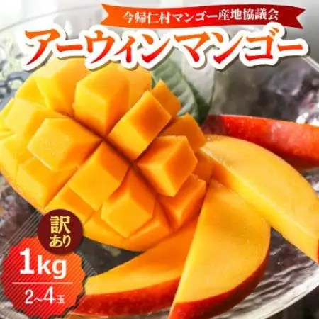 【2026年6月下旬から順次発送・訳あり】今帰仁産のアップルマンゴー1kg(2～4玉)【配送不可地域：離島】【4014742】