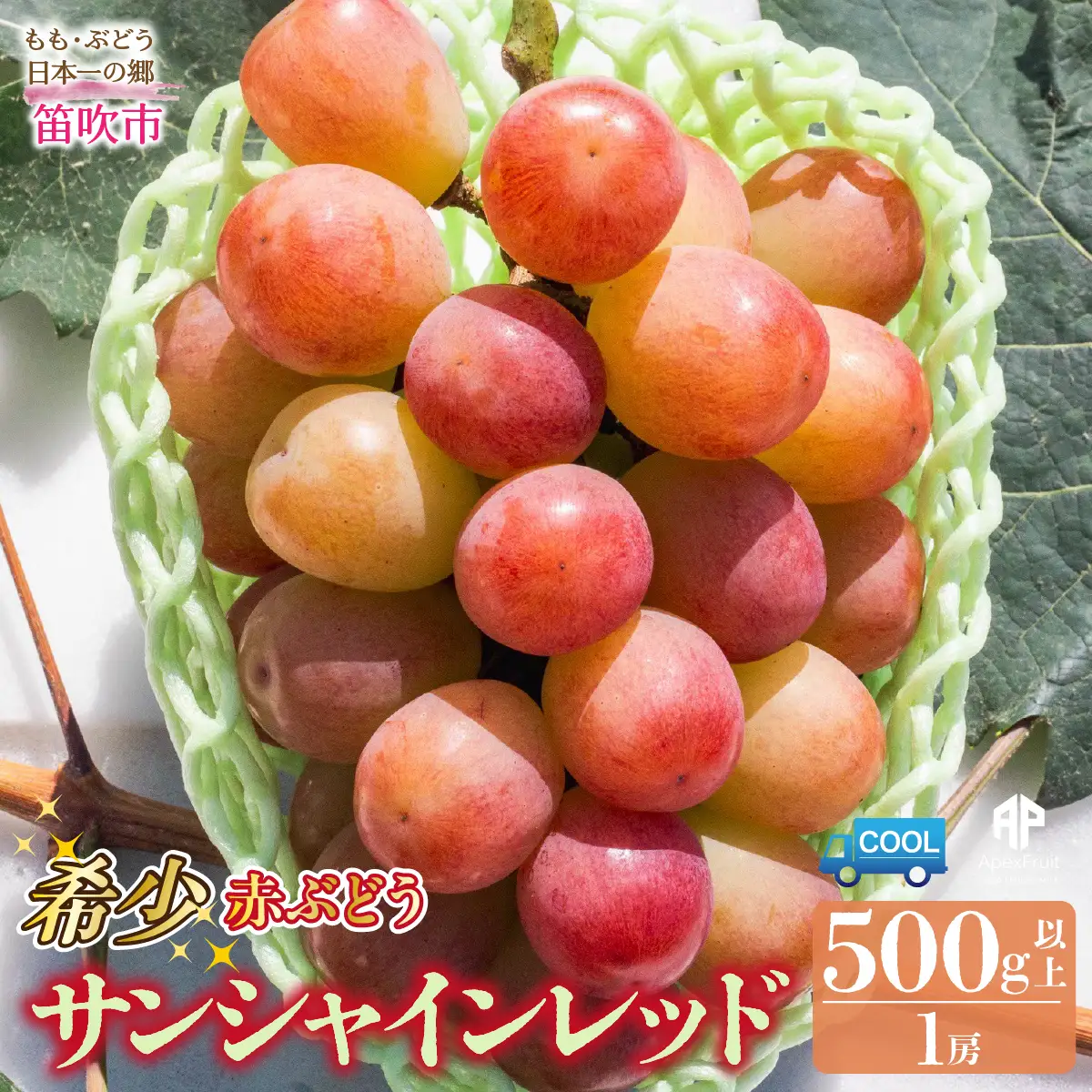 【2026年発送先行予約】笛吹市産　サンシャインレッド　500g以上（1房） 205-014-26y