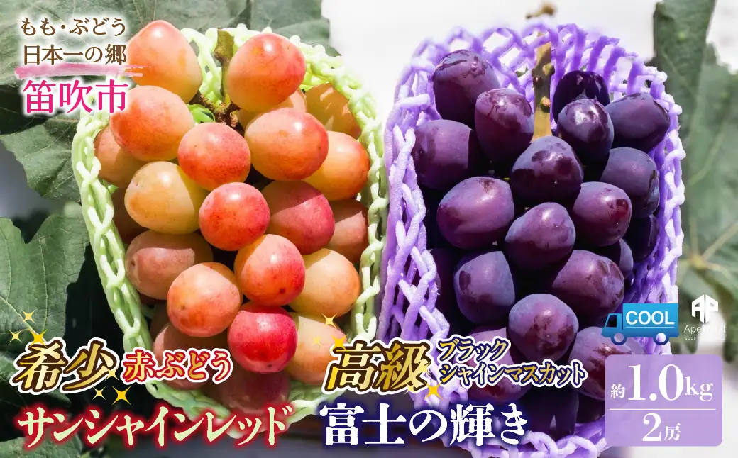 富士の輝きサンシャインレッド　コトピー　シャインマスカット　クインニーナ　2kg 2026年発送】サンシャインレッド 2～3房 1kg程度 ピンクに輝く