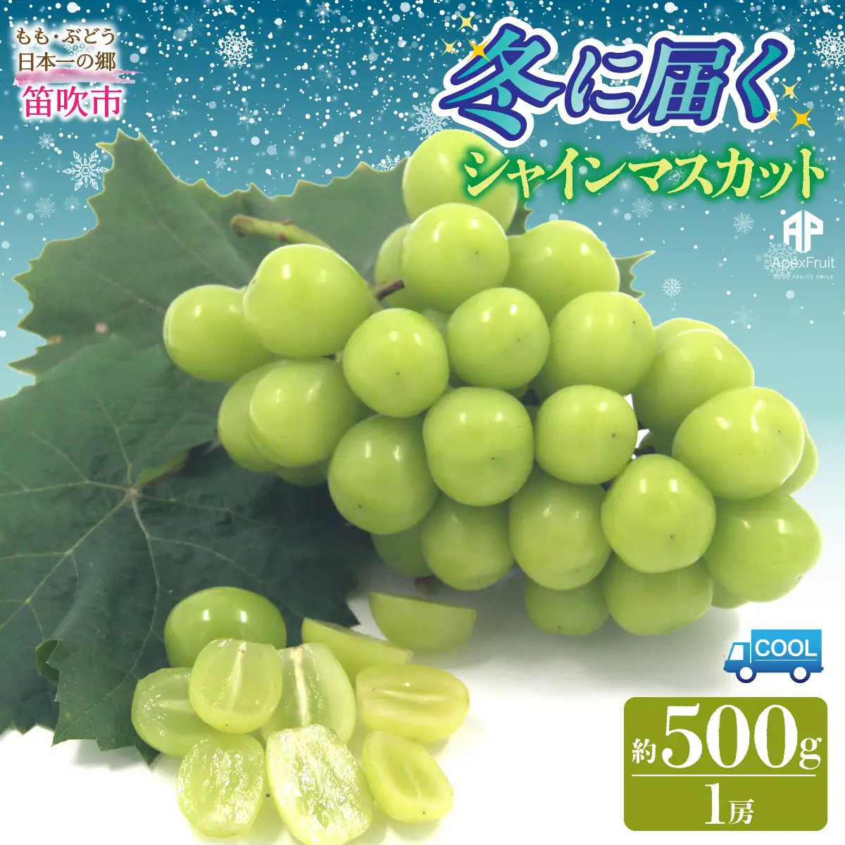 【2026年発送先行予約】笛吹市産　冬に届くシャインマスカット　1房(約500g） 205-020-26y