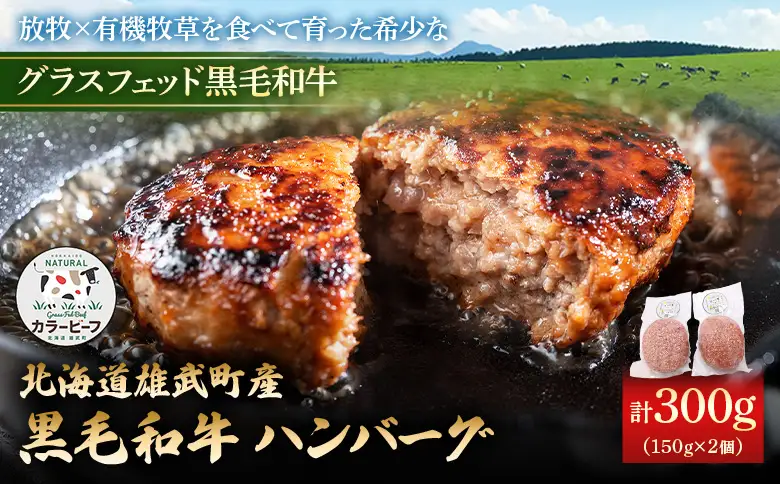 【カラービーフ】黒毛和牛ハンバーグ（150gｘ2個）【01131】