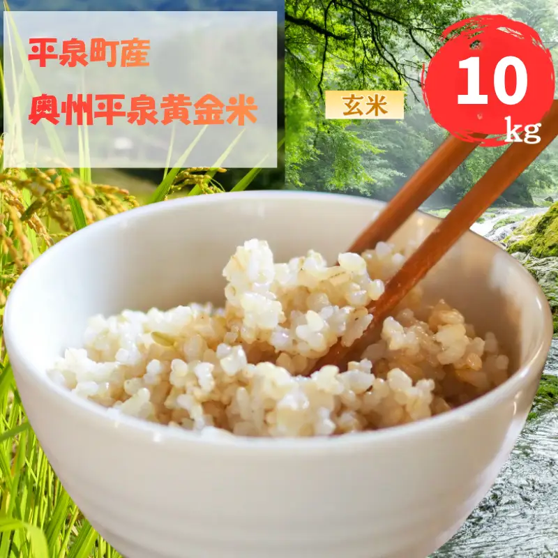 令和7年産 平泉町産 奥州平泉黄金米 玄米10kg / こめ コメ 米 お米 おこめ 玄米 ご飯 ごはん ライス 山水【aoki007B】