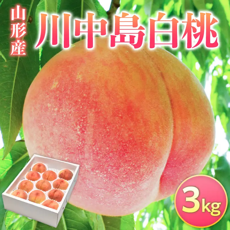 山形県産 川中島白桃 3kg FY26-074