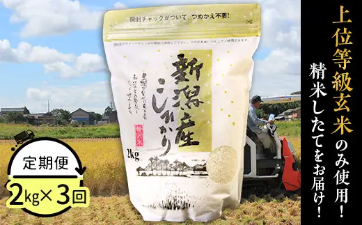 31-K23【3ヶ月連続お届け】新潟県産コシヒカリ2kg