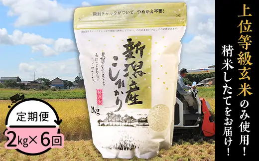 31-K26【6ヶ月連続お届け】新潟県産コシヒカリ2kg