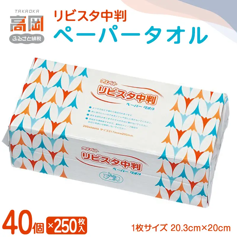 リビスタ中判ペーパータオル250枚×40個 ペーパータオル 防災グッズ ティッシュ キッチンペーパー タオル FAD-1771