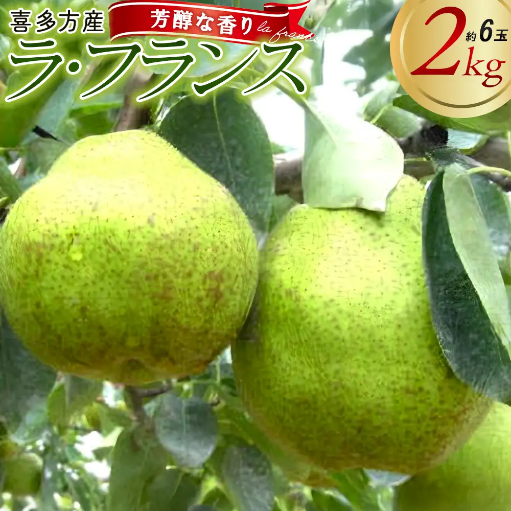 [2026年11月上旬発送]西洋なし（ラ・フランス）2kg（約6玉入り）　【07208-0812】