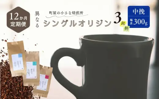 【定期便：12ヶ月連続でお届け】シングルオリジンコーヒー 100g × 3品種（中挽き）計300g×12ヶ月 1075029 コーヒー 珈琲 粉