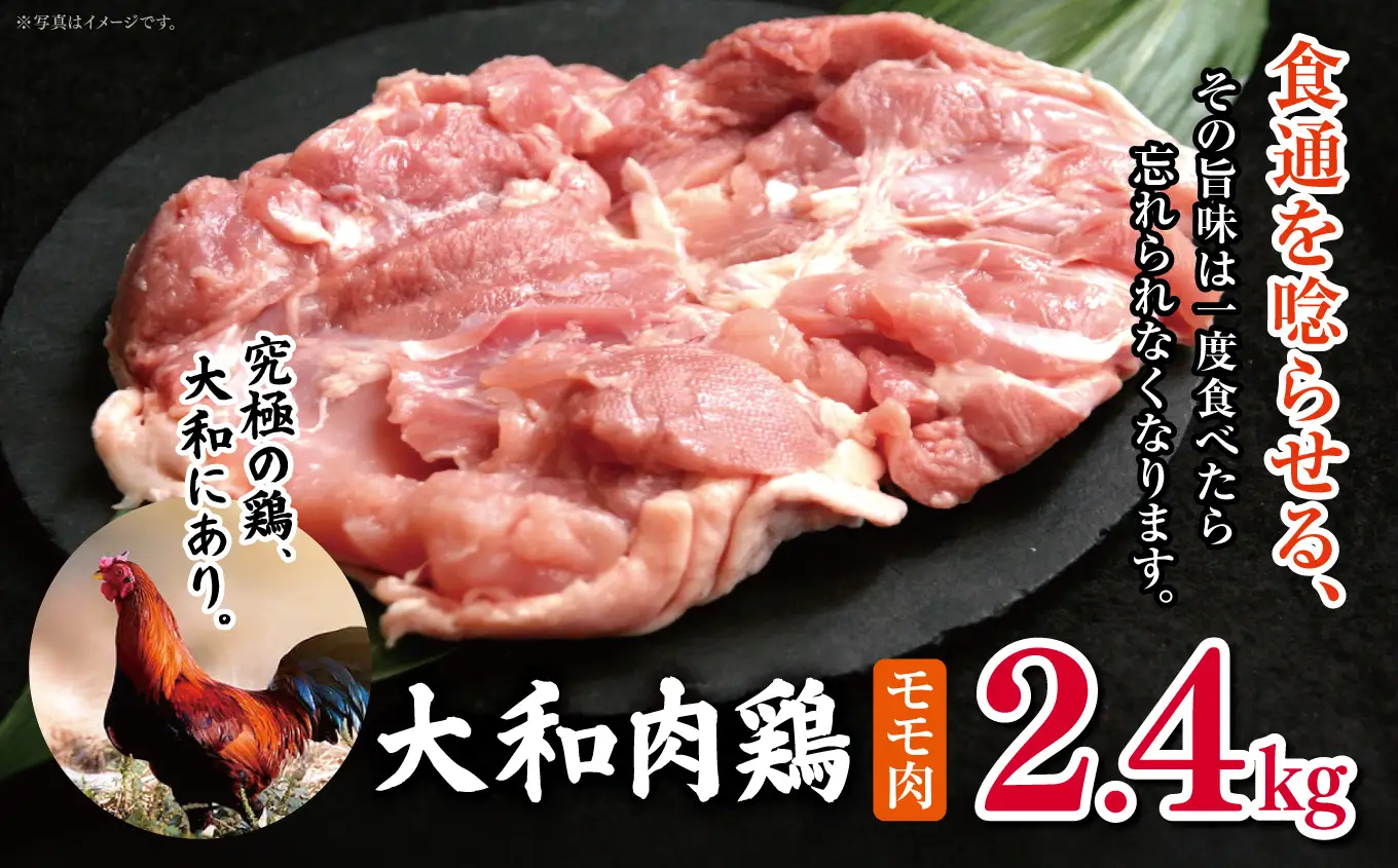 大和肉鶏 モモ肉 2.4kg | 国産 高品質 鶏肉 モモ肉 | 奈良県 五條市