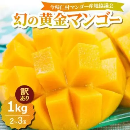 【2026年7月中旬から順次発送・訳あり】今帰仁産の幻の黄金マンゴー1kg(2～3玉)【配送不可地域：離島】【4014736】