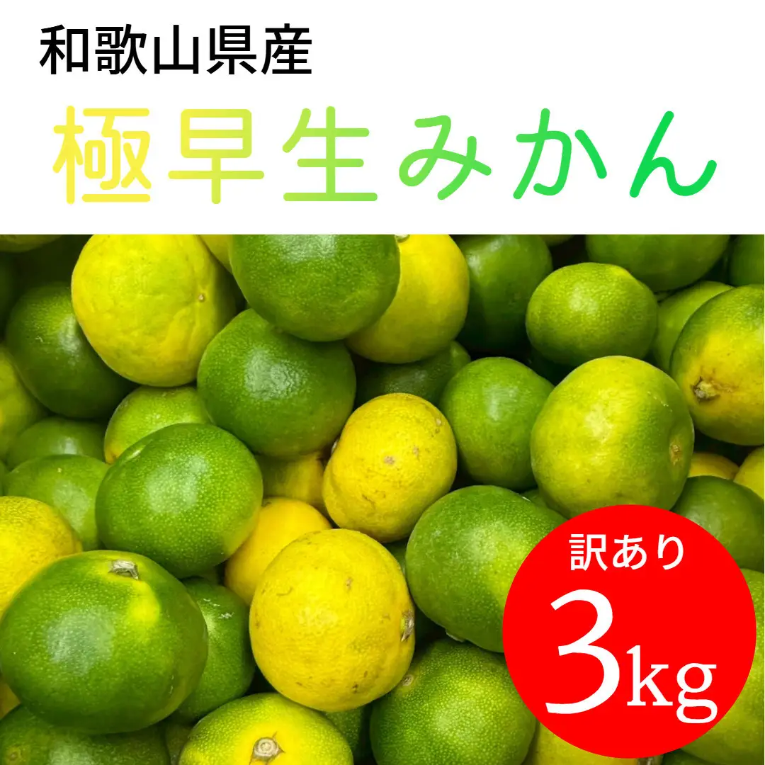 家庭用 和歌山県産 極早生みかん 3kg