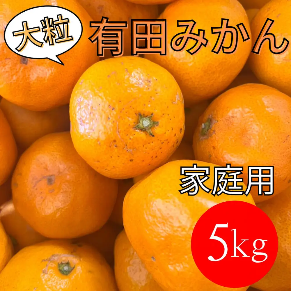 家庭用 大粒有田みかん 5kg (約35個～40個)