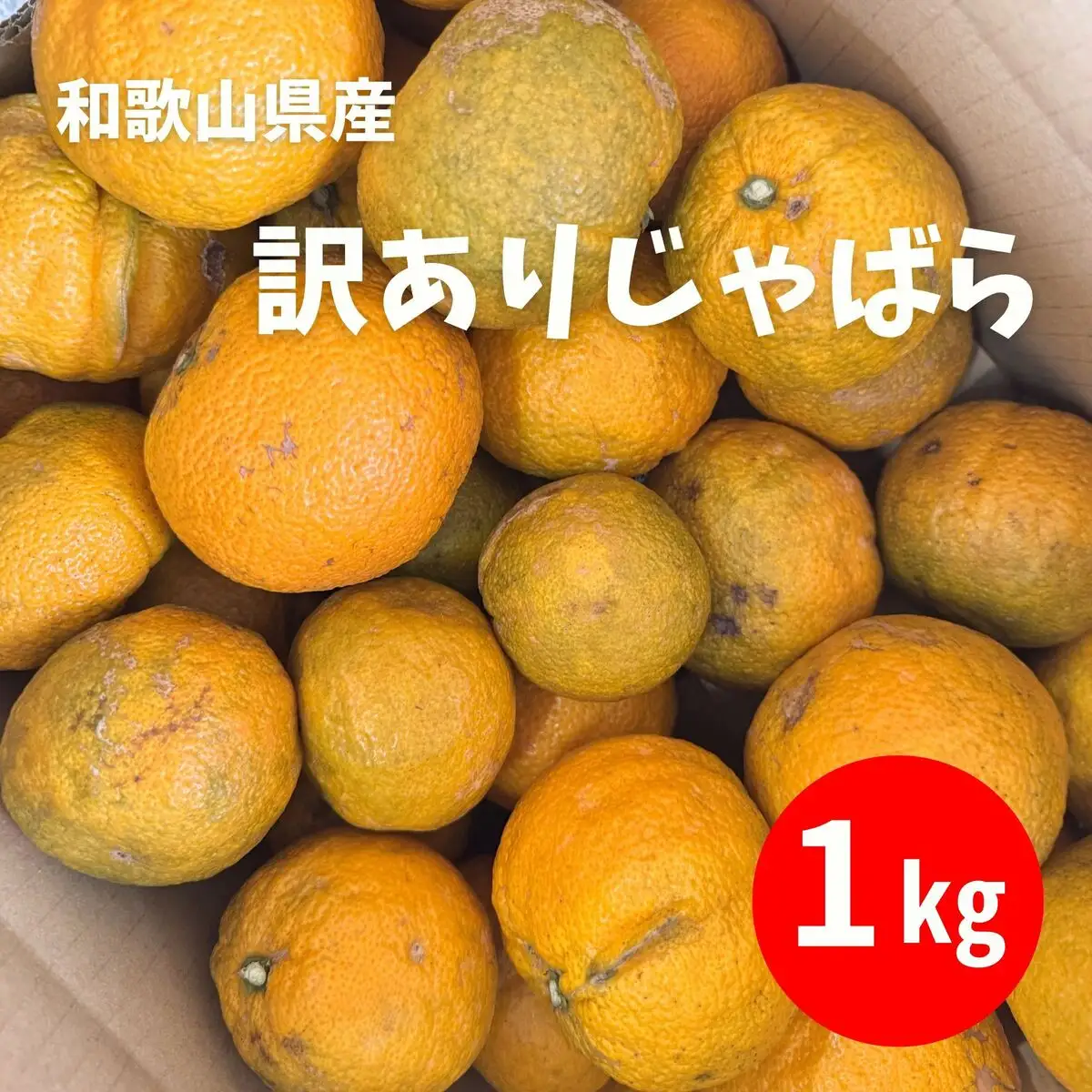 訳あり じゃばら 1kg (6～9玉)