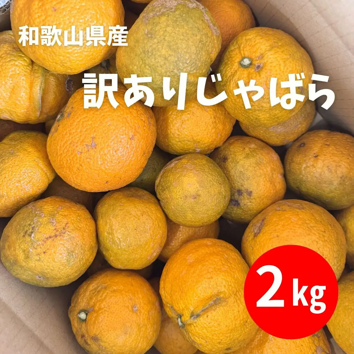 訳あり じゃばら 2kg (11～18玉)