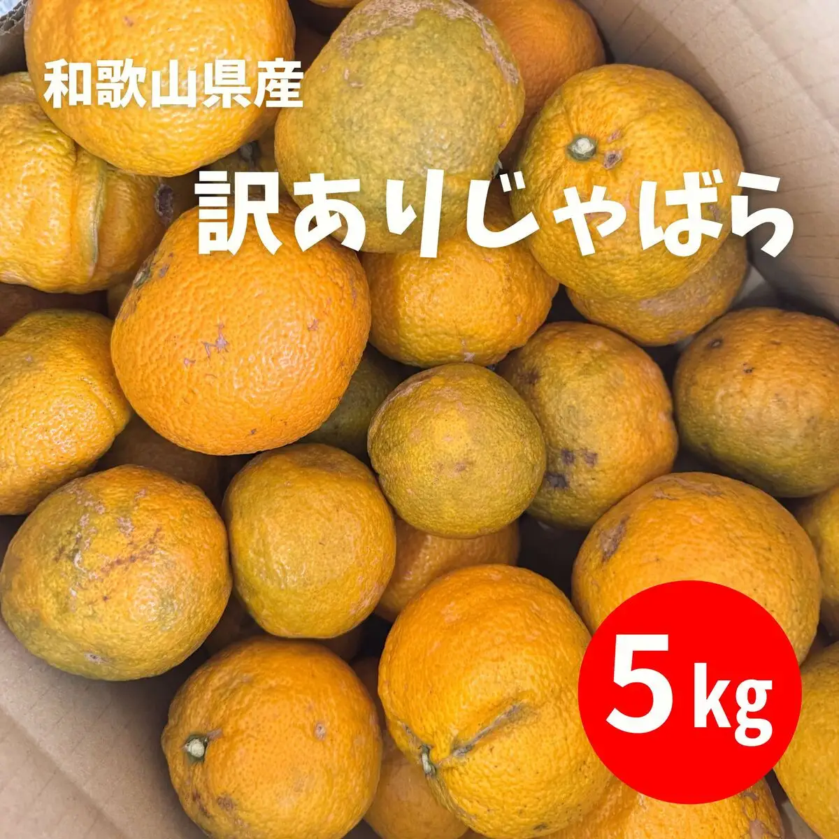 訳あり じゃばら 5kg (28～44玉)