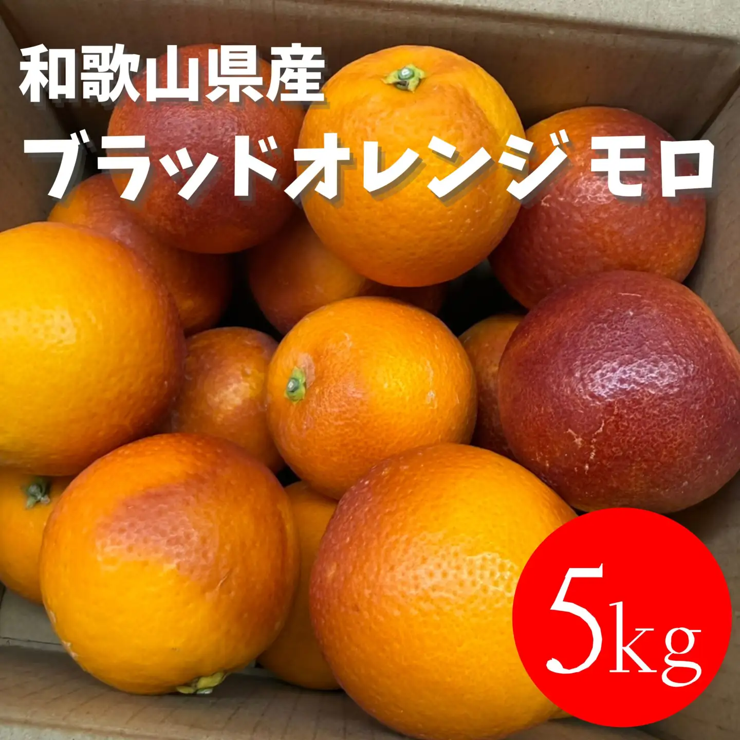 和歌山 有田 ブラッドオレンジ モロ 5kg