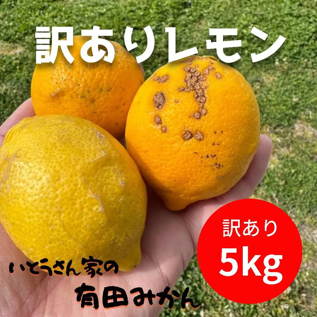 訳あり 国産 レモン 5kg (32~40玉)