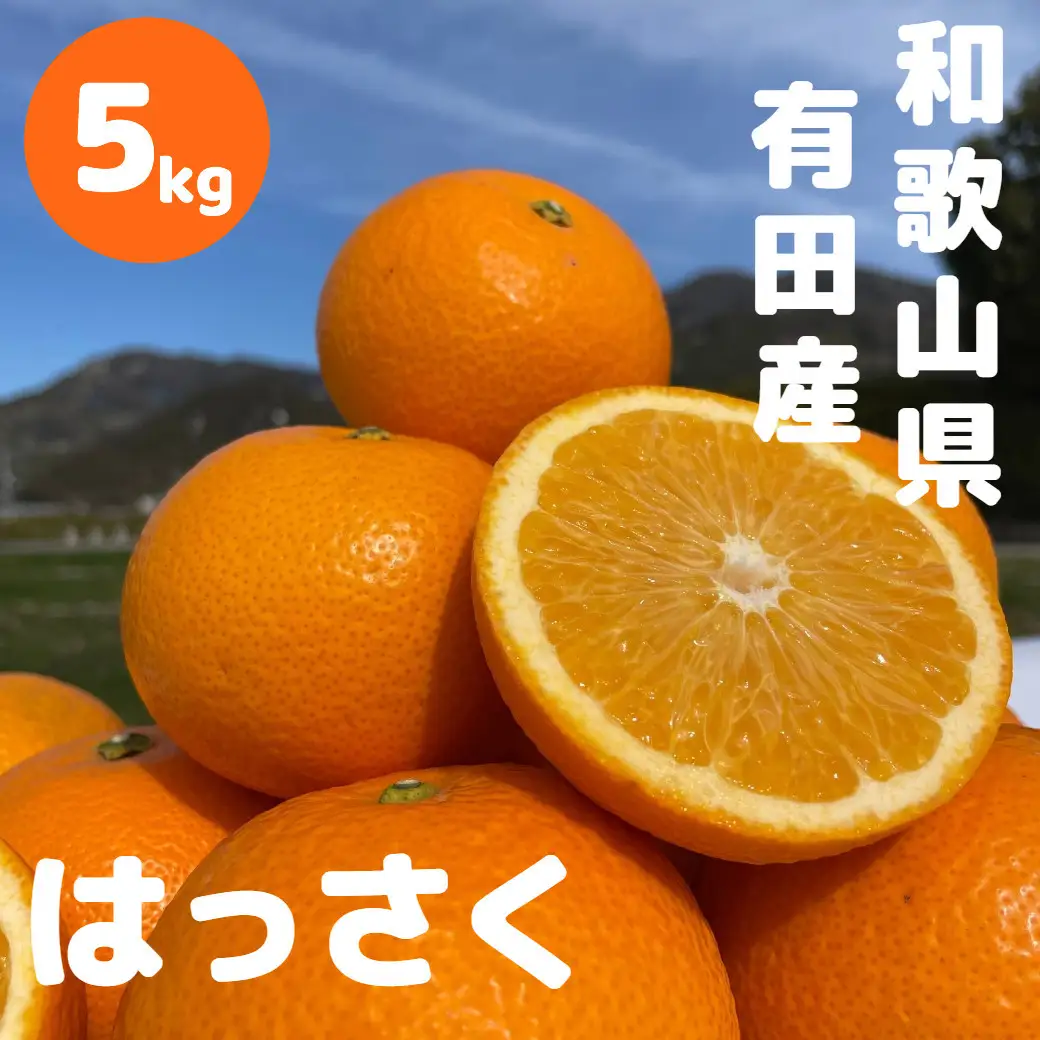 和歌山 有田 はっさく 5kg