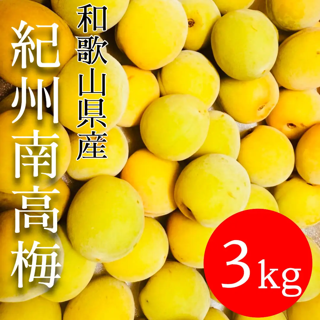 黄色～完熟梅 南高梅 3kg