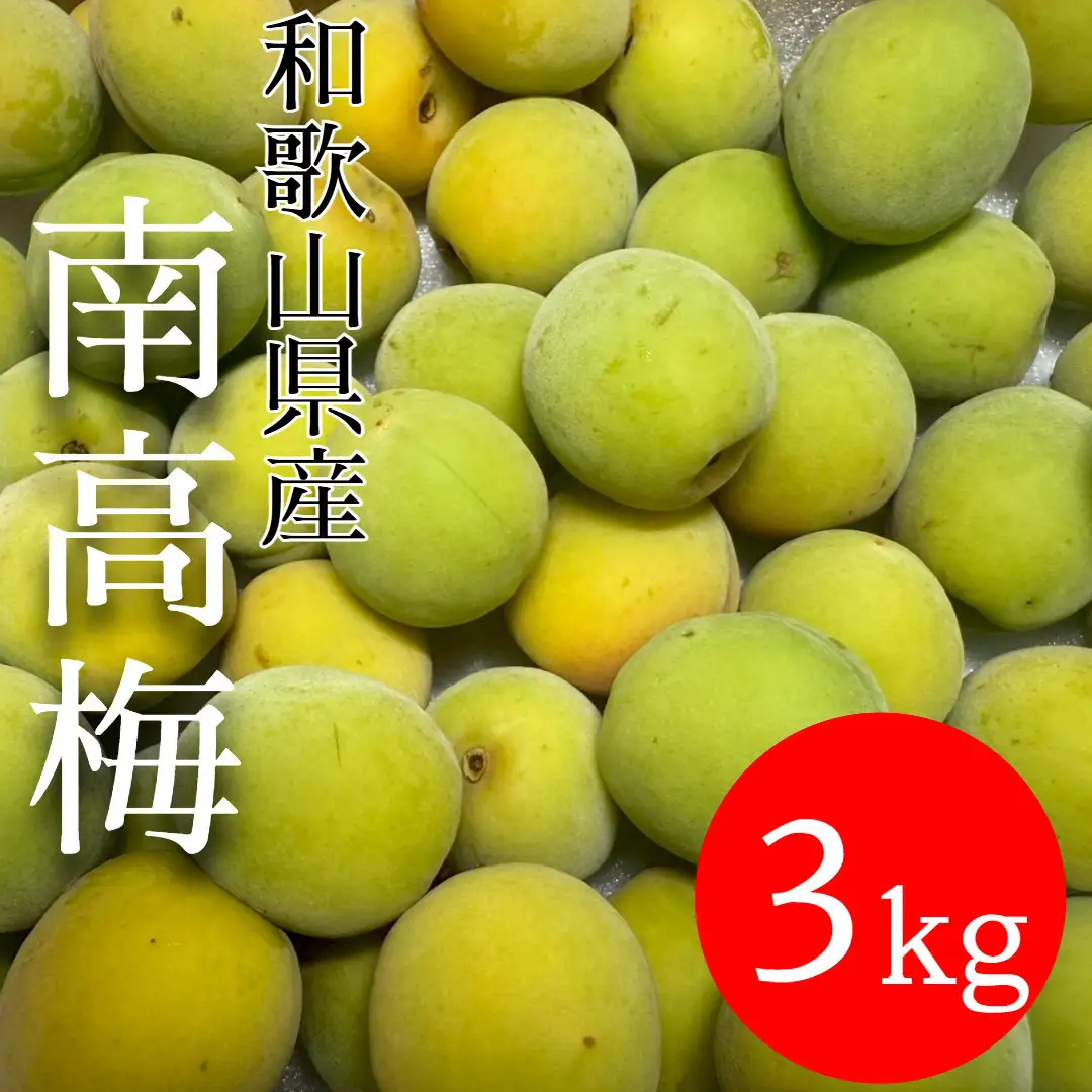 青梅 南高梅 3kg