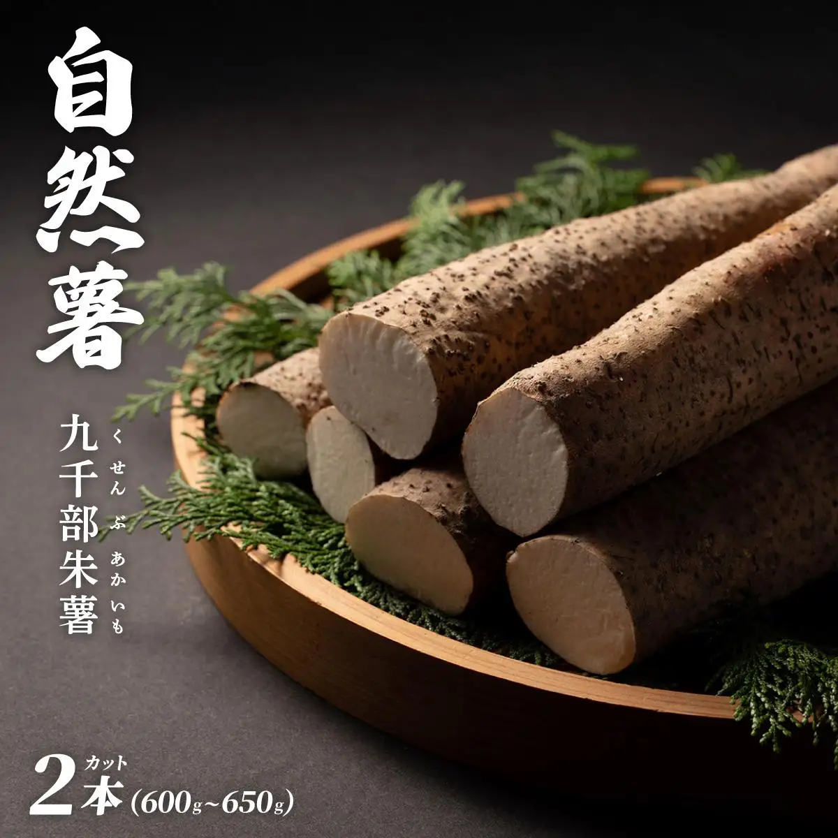 【先行予約】自然薯「九千部朱薯」600g～650g（2本）