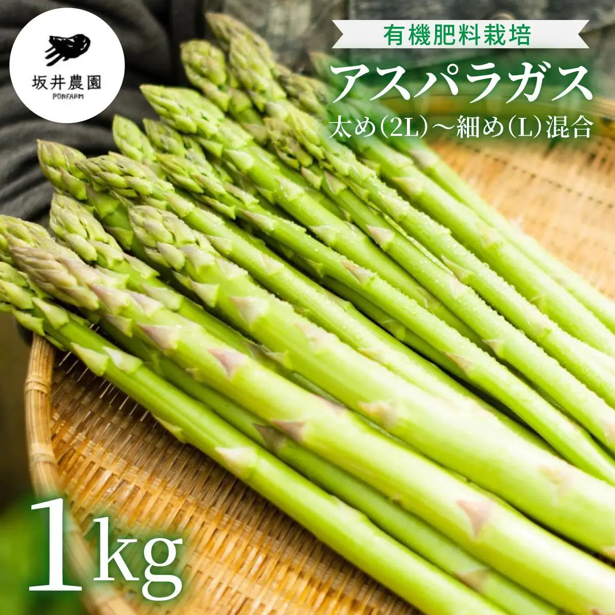 アスパラガス 1kg （6月下旬より発送）