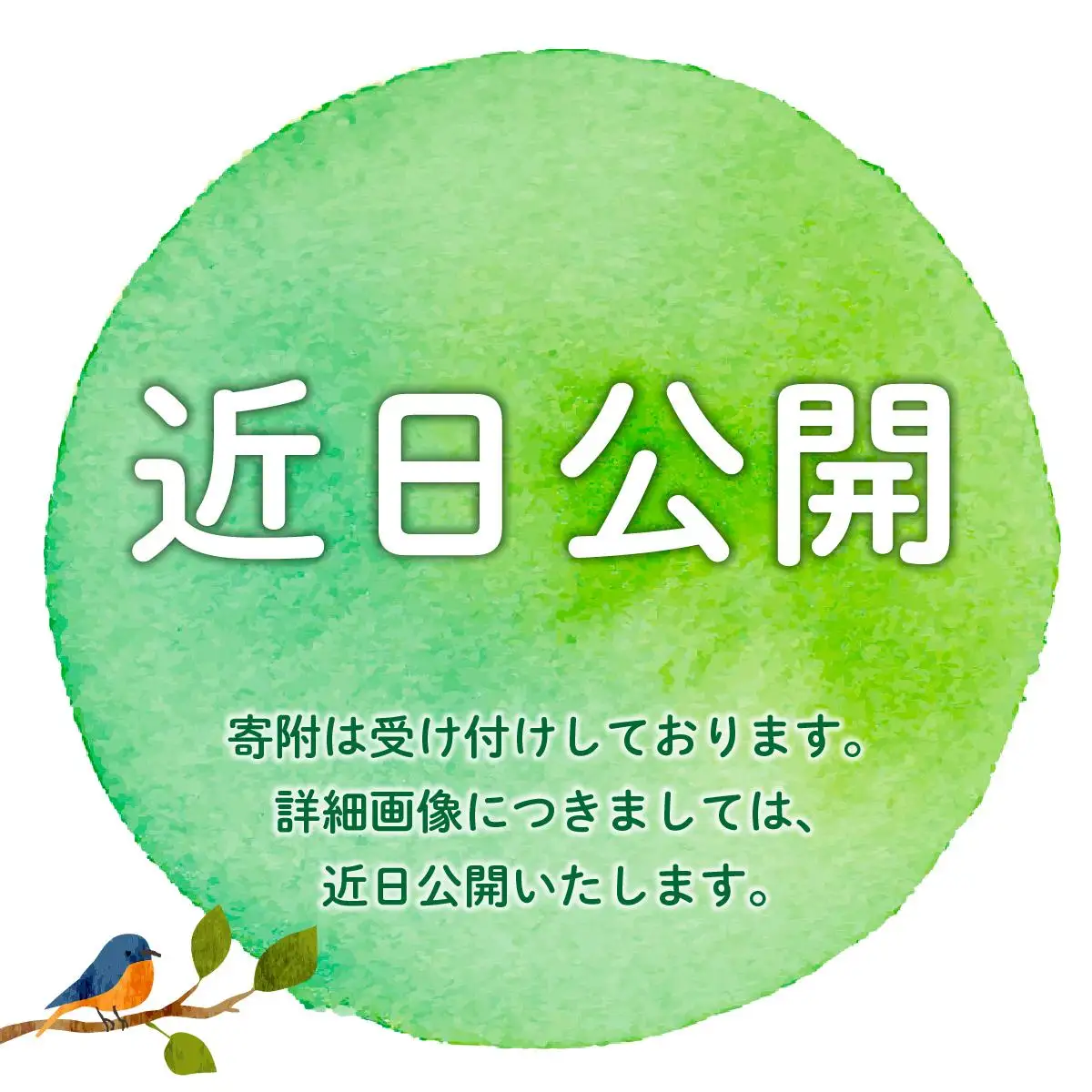 【訳あり】辛子明太子ゆず皮入り切大 500g