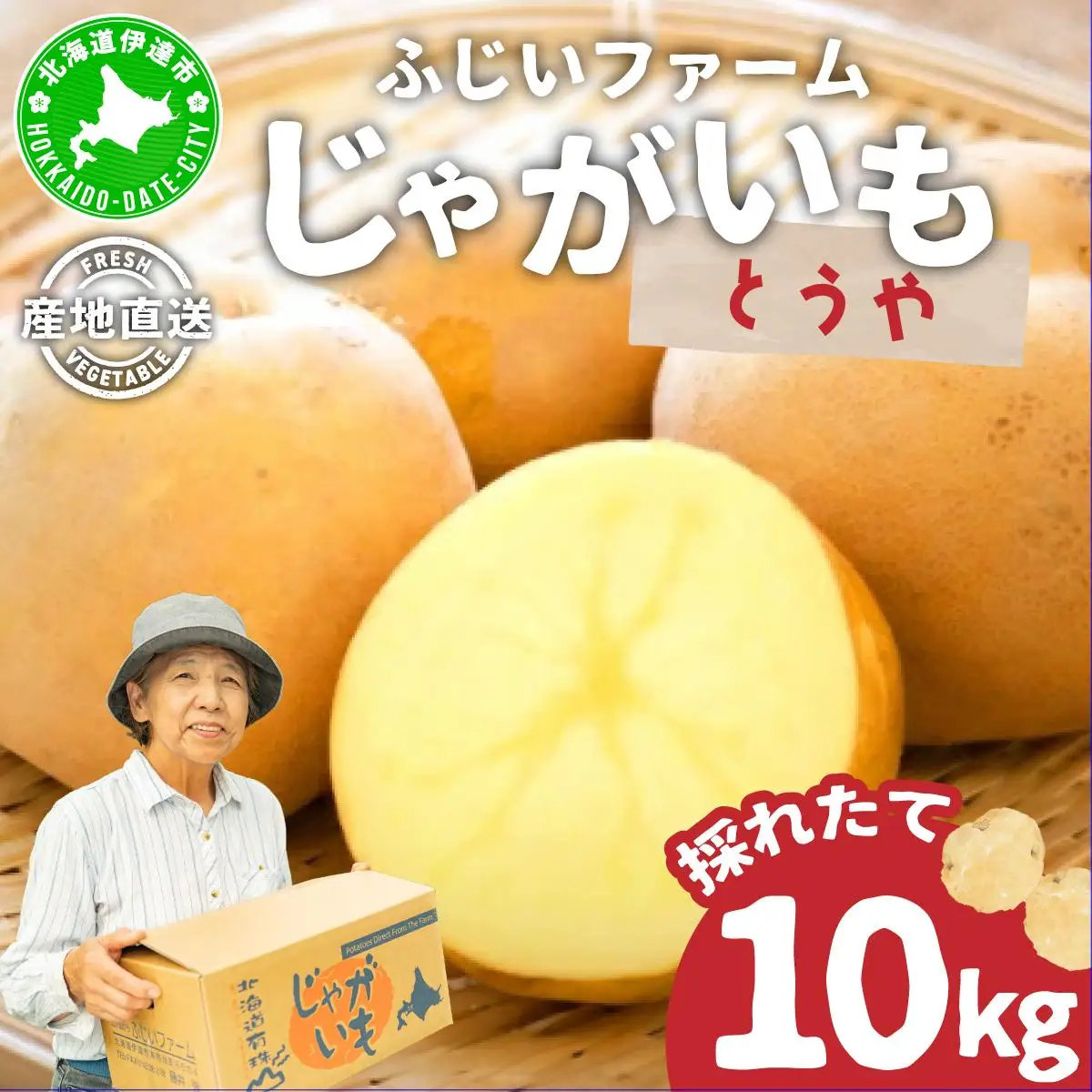 ＜先行予約＞北海道産 じゃがいも(とうや) 約10kg【hjf-004】