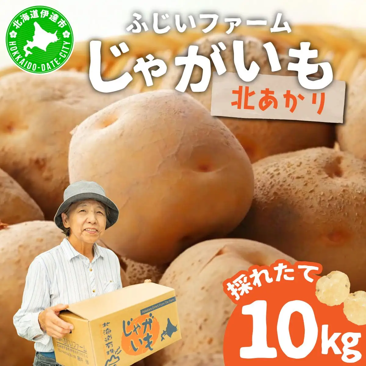 ＜先行予約＞北海道産 じゃがいも(北あかり) 約10kg【hjf-006】