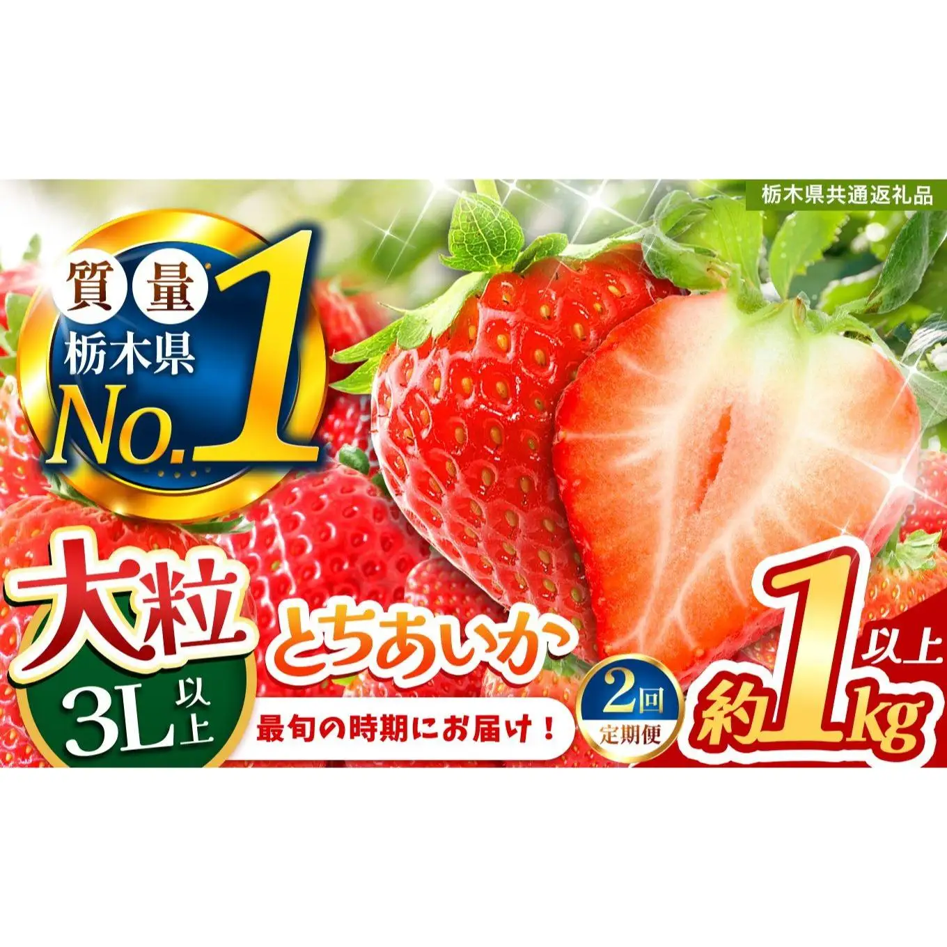2027年 先行予約受付中！【定期便2回】最旬とちあいか 1kg以上 |  栃木県共通返礼品 いちご 人気 デザート 栃木県 矢板市