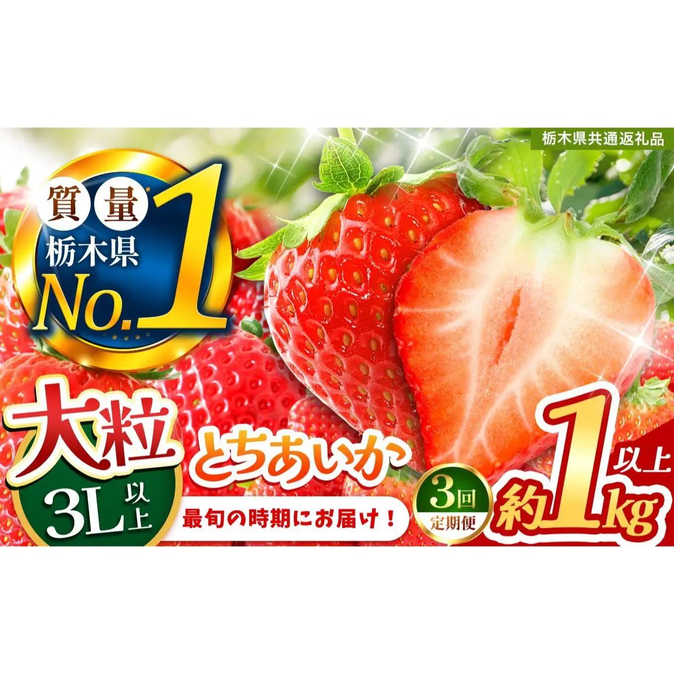 2027年 先行予約受付中！【定期便3回】最旬とちあいか 1kg以上 |  栃木県共通返礼品 いちご 人気 デザート 栃木県 矢板市