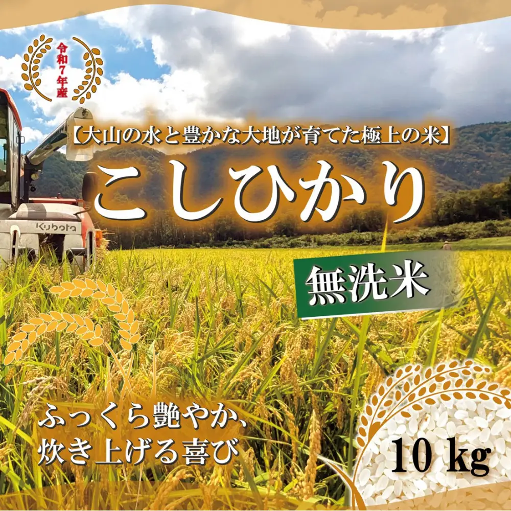 令和7年産　山崎農園こしひかり　無洗米10kg