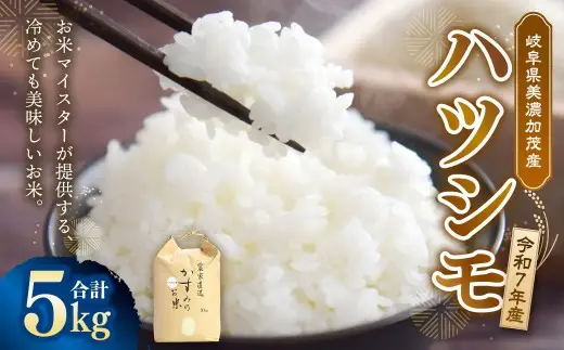 令和7年産 お米マイスターが提供 冷めても美味しい 美濃加茂産 ハツシモ （ 5kg × 1袋 ） 春見ライス 米 お米 コメ こめ 白米 精白米 白飯 ご飯 ライス おにぎり お弁当 料理 和食 お米マイスター クリーン農業 国産 国産米 【 2026年7月下旬まで発送予定 】