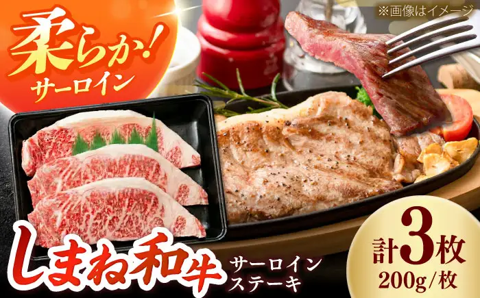 しまね和牛 サーロインステーキ200ｇｘ3枚 和牛 牛肉 ステーキ / 島根県雲南市 / フジキコーポーレーション株式会社[AIEA005]