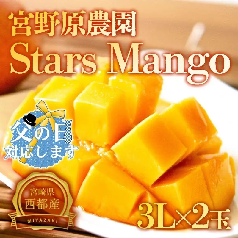 【父の日ギフト】糖度13度以上　宮野原農園 スターズマンゴー3Lサイズ2個 完熟マンゴー 生産者直送＜67-2a＞2026年発送