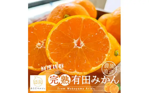 【12月発送】＼先行予約／完熟有田みかん 秀優 5kg+200g ※北海道・沖縄・その他離島地域は発送不可 / 有田みかん ミカン 柑橘 甘い くだもの フルーツ 果物 産地直送 和歌山【ard004-noen-5-12B】