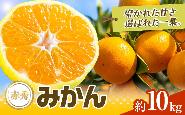 先行予約 赤秀 みかん 旬 柑橘 蜜柑 鶴田農園 約10kg 《9月中旬-1月下旬頃出荷》極早生 早生 中生 晩生 フルーツ 果物 秋 旬 熊本県 荒尾市産 贈答 ギフト オレンジ 人気 おすすめ