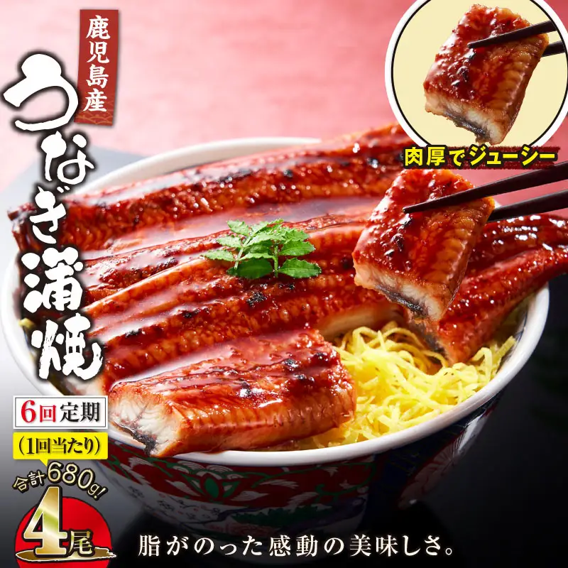【 全6回 定期便 】 鹿児島産 うなぎ 蒲焼 170g×4尾 清らかな 地下水 育ち！ KN021-T32 ウナギ 鰻 冷凍