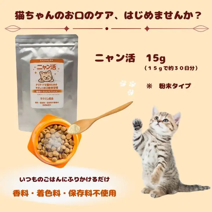 ニャン活　15g×1個