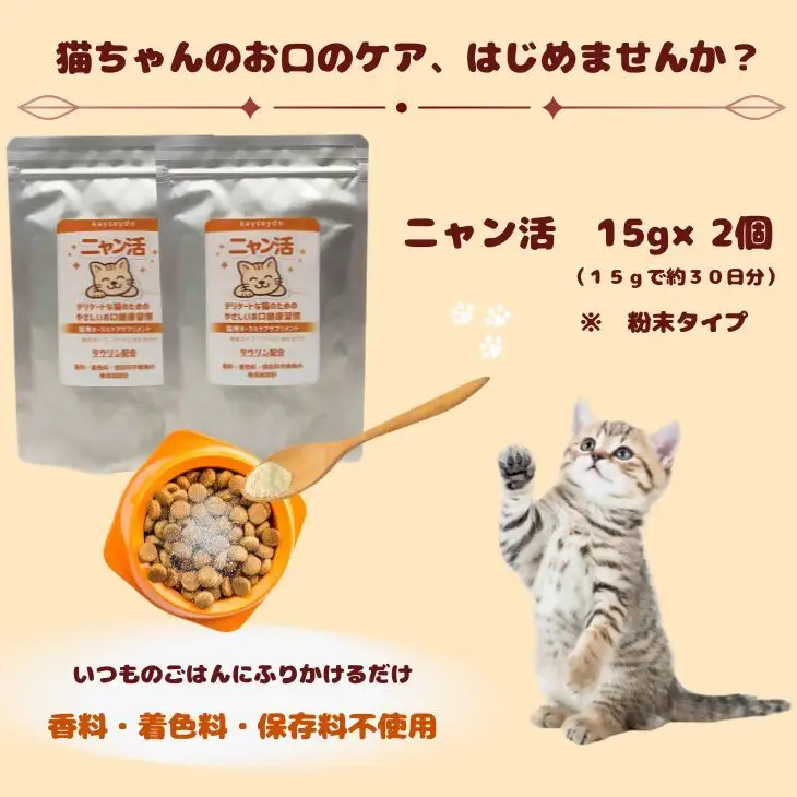 ニャン活　15g×2個