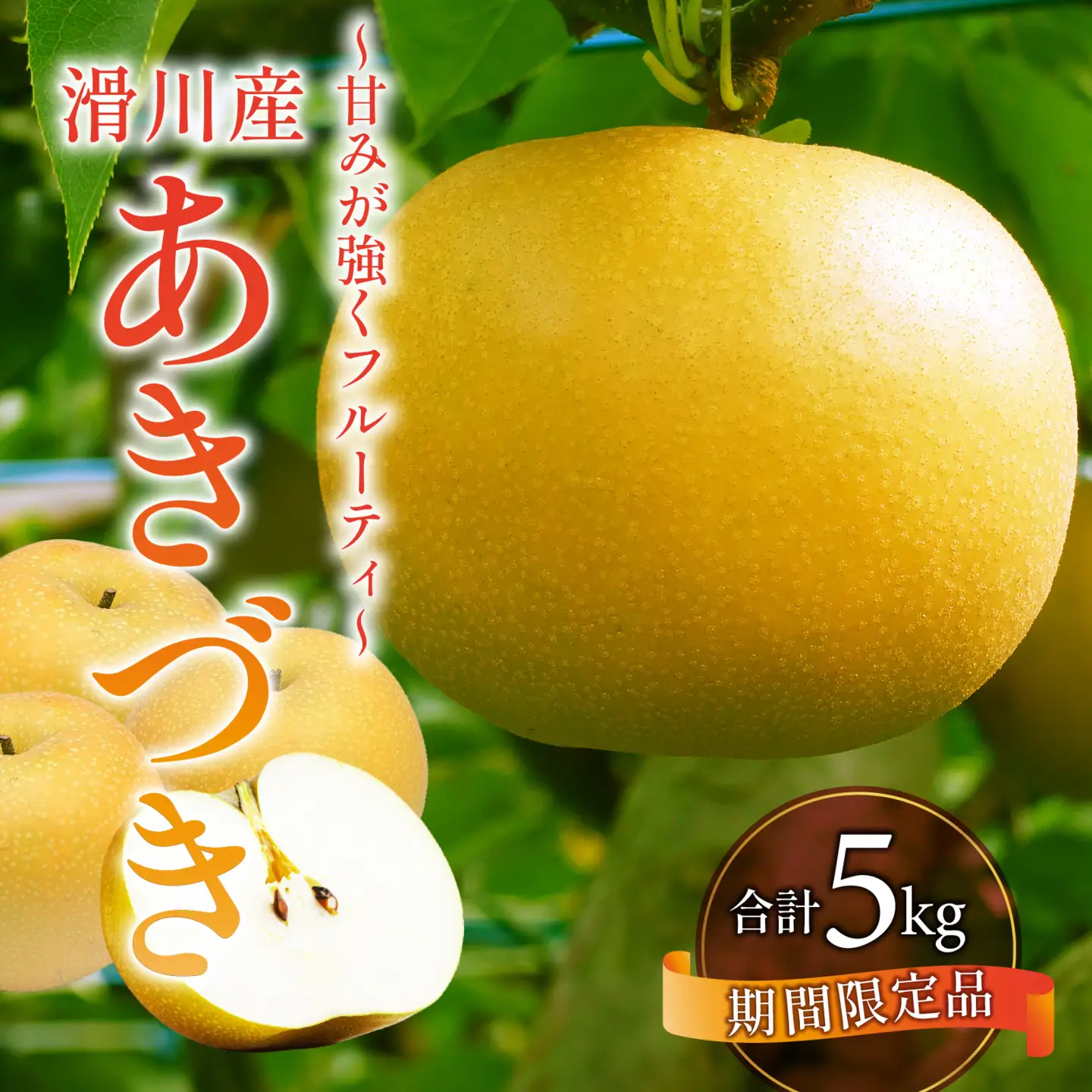 【先行予約】梨（あきづき）5kg　8玉～12玉 [A-014003] ※2026年9月中旬以降順次発送予定 / なし フルーツ 期間限定 送料無料　滑川市 富山県フルーツ 果物 くだもの なし 滑川市 新山果樹園