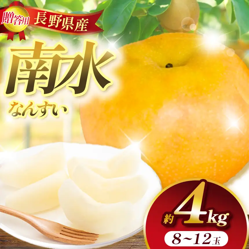 梨 ナシ 信州 上伊那産 贈答用 南水 約4kg (8～12玉) 長野県 伊那市 【017-28】