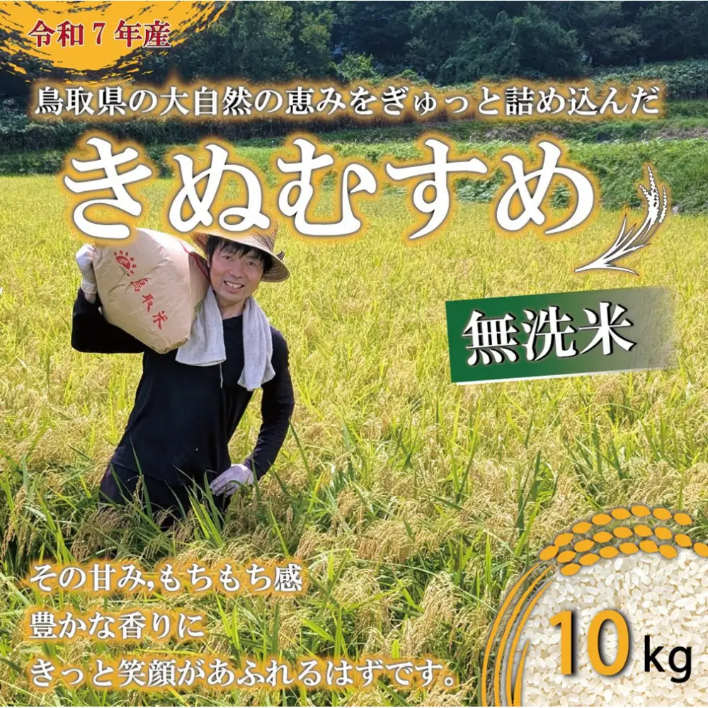 令和7年 原田農園きぬむすめ無洗米10kg