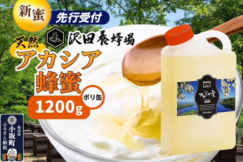 《先行受付》【新蜜】はちみつ 天然十和田 アカシア蜂蜜 1200g ポリ缶