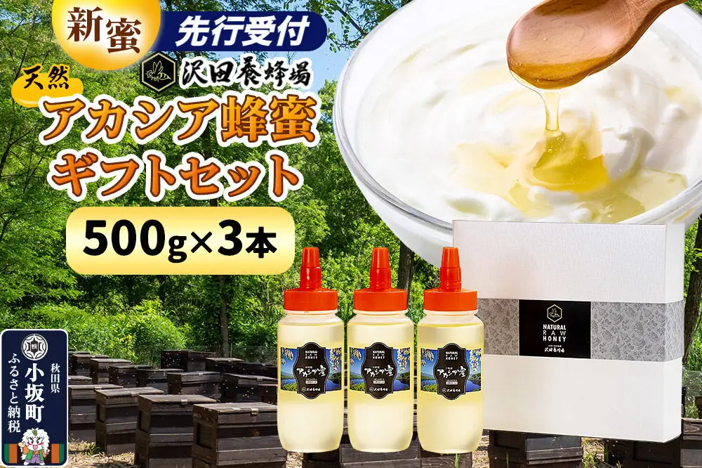 《先行受付》【新蜜】はちみつ 天然十和田 アカシア蜂蜜 ギフトセット 500g 3本セット