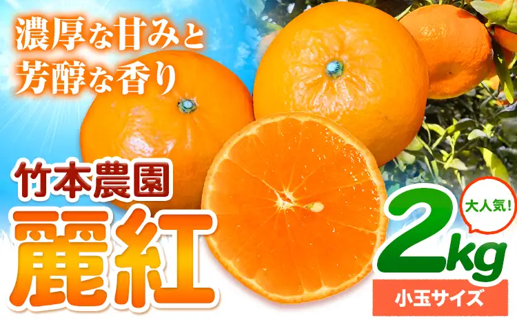 みかん 麗紅 2kg 小玉サイズ 麗紅